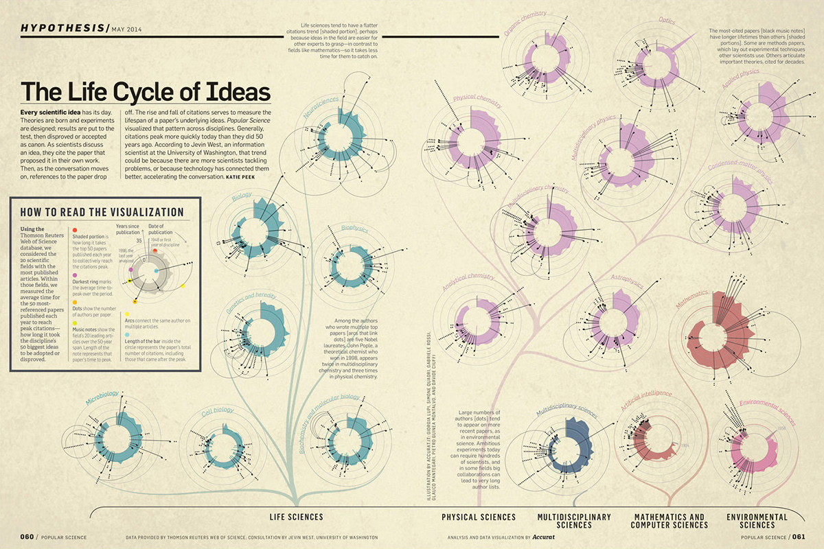 The life cycle of ideas